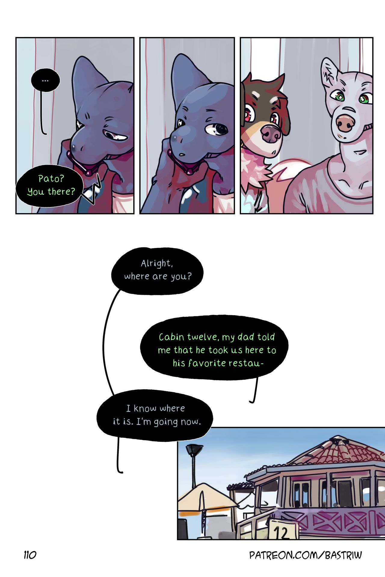 Page 111
